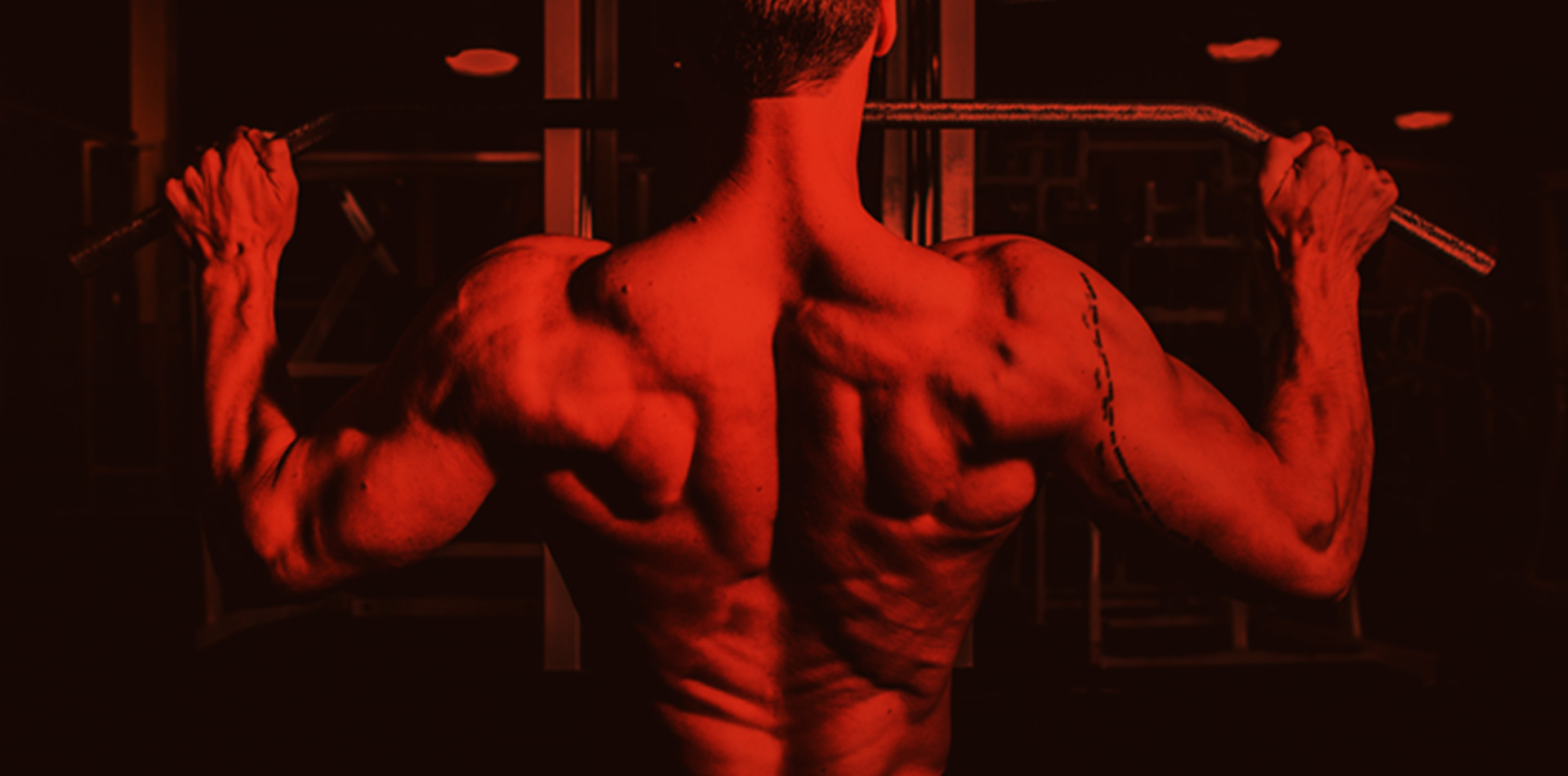 Gym gallery image 2